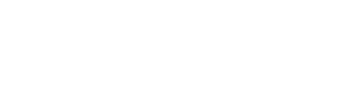 PMI MERCH